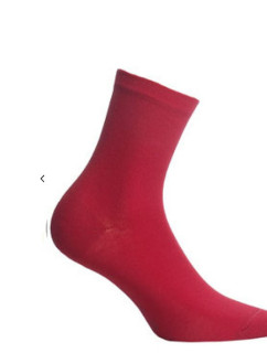 Dámské ponožky  classic  model 18632289 - Wola