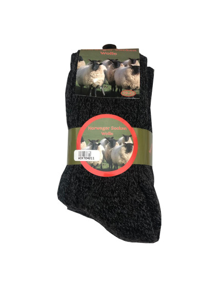 Pánské ponožky  A'3 model 17679014 - WiK