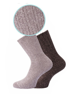 Dámské ponožky  Socks 3542 model 19002409 - WiK