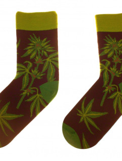 Obrázkové ponožky 80 Funny herbs - Skarpol