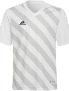 Detské tričko Entrada 22 Graphic Jersey Jr HF0120 - Adidas