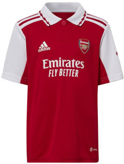 Dětské domácí polo tričko Arsenal London HA5346 - Adidas
