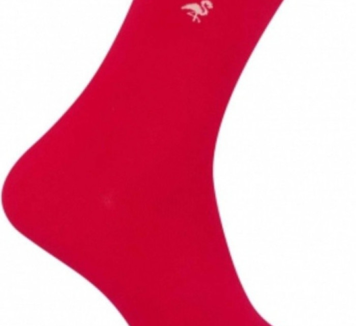 Pánské i dámské unisex ponožky  model 17250430 - More