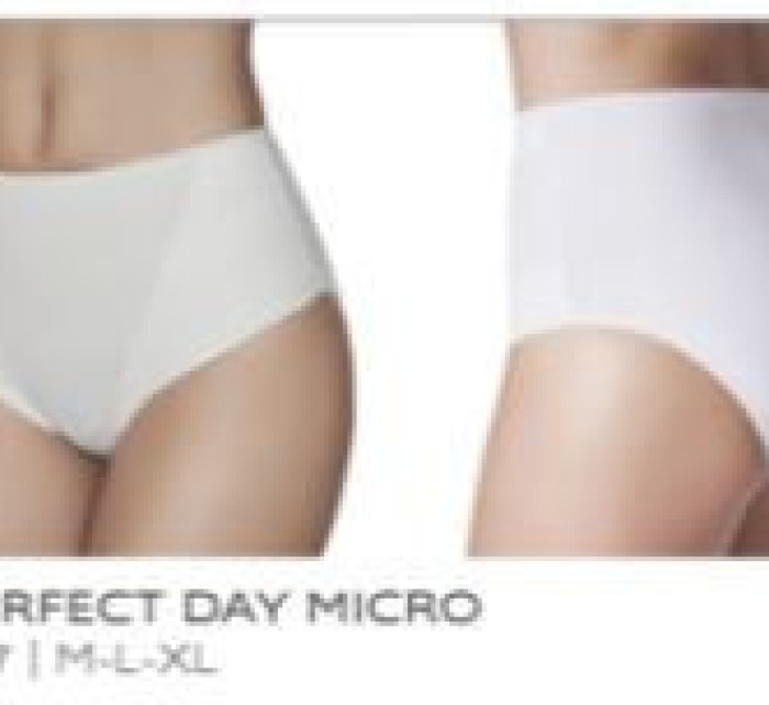 Kalhotky Slip Perfect Day Micro model 17166408 - Janira