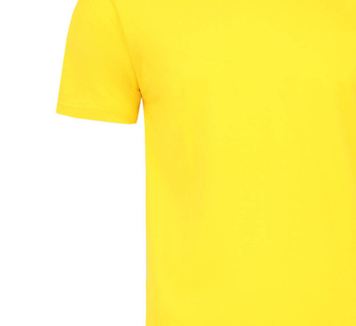 Pánske tričko ALEKSANDER 3XL-4XL