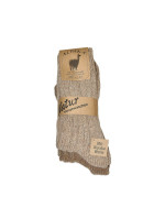 Pánské ponožky   A'2 model 18881615 - WiK
