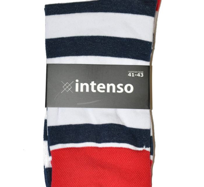 Pánské vzorované ponožky  model 6323414 - Intenso