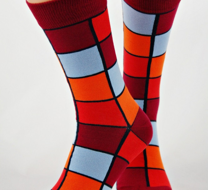 Pánské ponožky Bamboo model 6421501 - Regina Socks