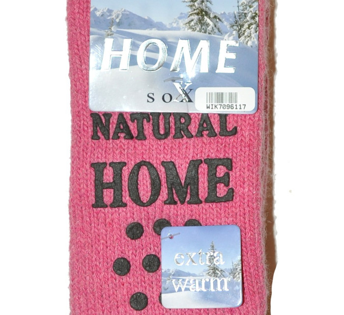 Dámské ponožky model 15884702 Home Natural ABS - WiK