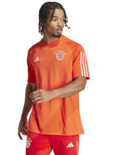 Koszulka adidas FC Bayern CO Tee M IQ0601