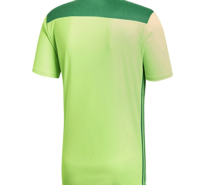 Pánske futbalové tričko Regista 18 Jersey M CE8973 - Adidas