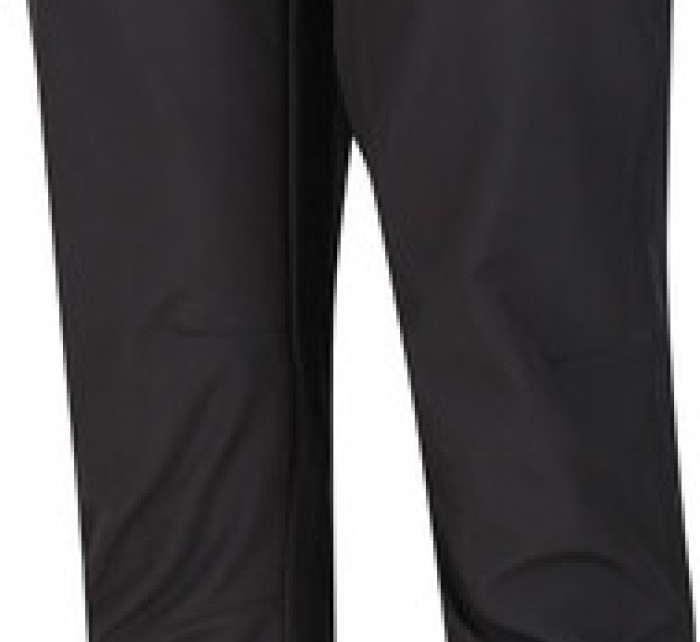 Pánské kalhoty Regatta RMJ117 Geo Softshell II šedé