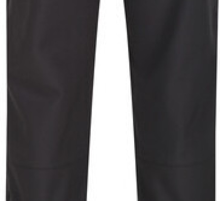 Pánské kalhoty Regatta RMJ117 Geo Softshell II šedé