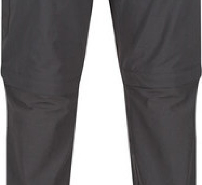 Pánské outdoorové kalhoty  Highton Trs model 18669685 - Regatta
