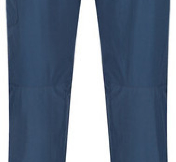 Pánské kalhoty model 18667033 Highton Trs Modré - Regatta