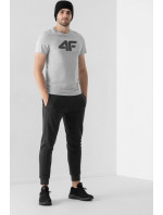 Pánské tričko  šedé model 18657063 - 4F