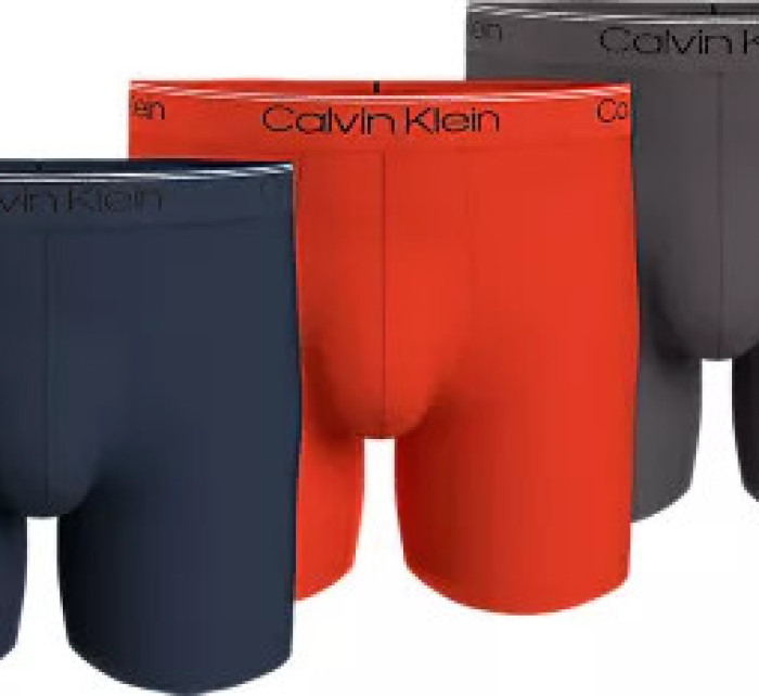 Pánské spodní prádlo BOXER BRIEF 3PK 000NB2570AMGY - Calvin Klein