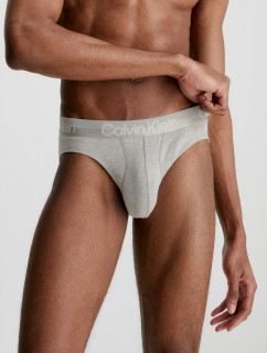 Underwear Men Packs HIP BRIEF 3PK 000NB2969AUW5 - Calvin Klein