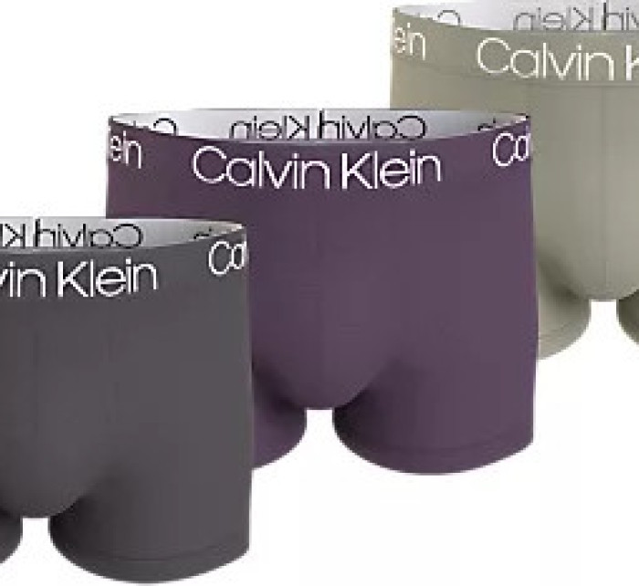 Pánska spodná bielizeň TRUNK 3PK 000NB3187ALN2 - Calvin Klein