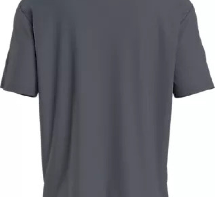Spodní prádlo Pánská trička S/S CREW NECK 000NM2399ECKP - Calvin Klein
