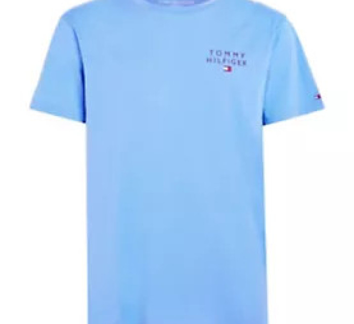 Pánská trička CN SS TEE LOGO UM0UM02916C30 - Tommy Hilfiger